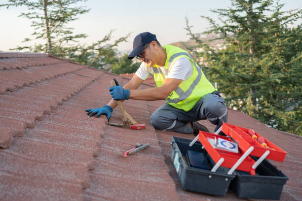 Best Roof Replacement Cost  in Hastings, MI