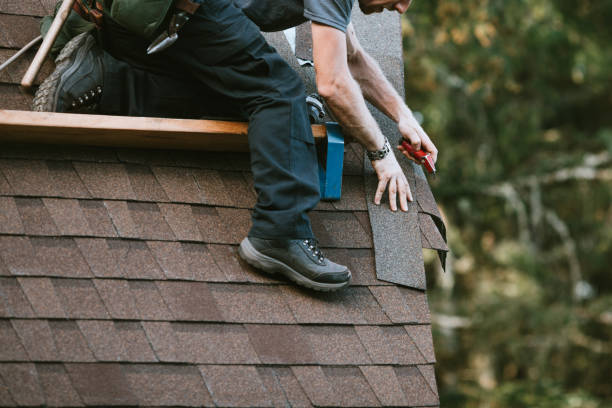 Best Sealant for Roof  in Hastings, MI