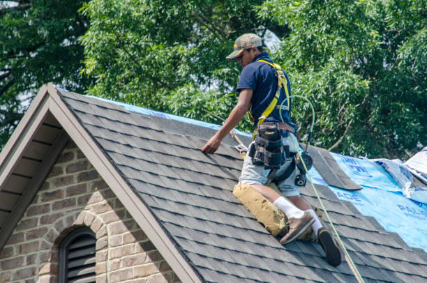 Best Residential Roofing Contractor  in Hastings, MI